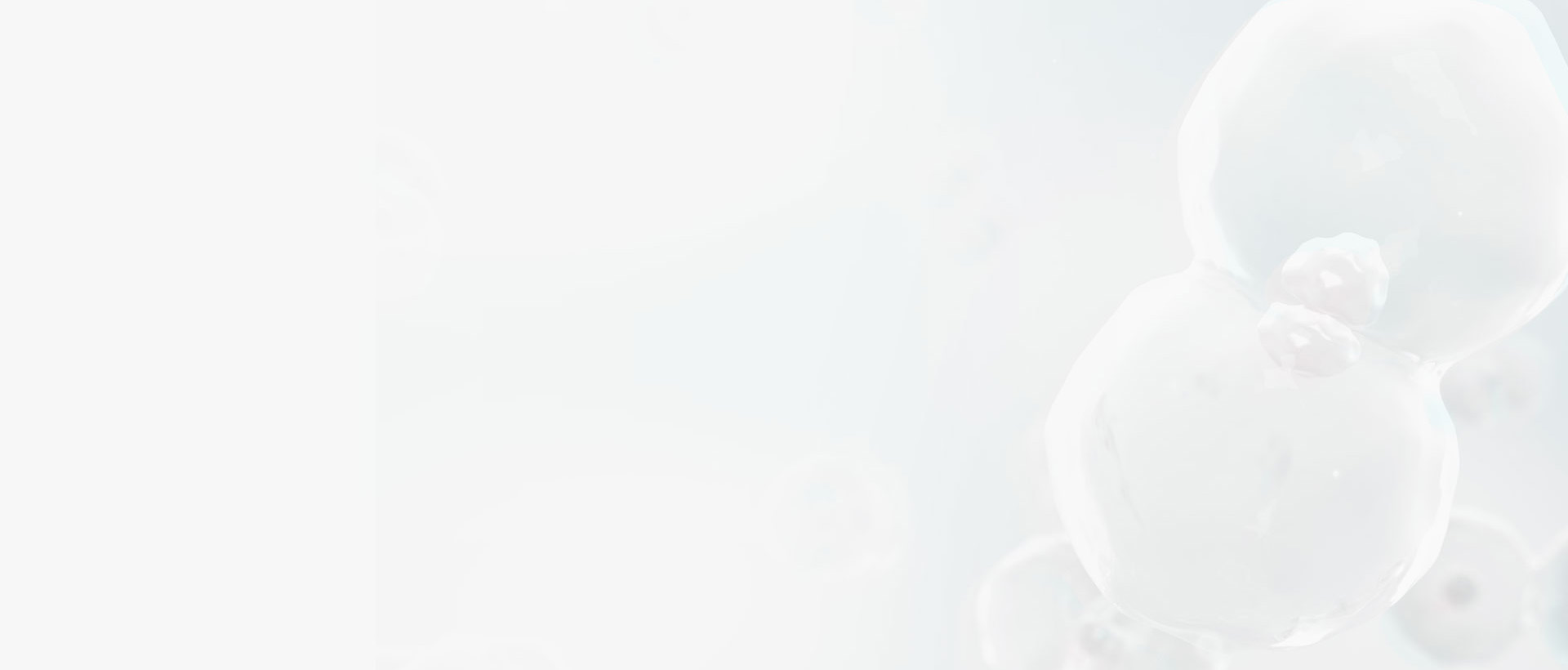 核心技术 核心技术