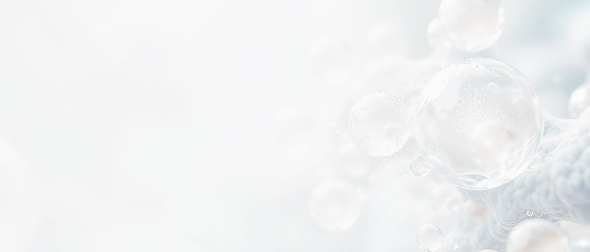 探索成果 探索成果