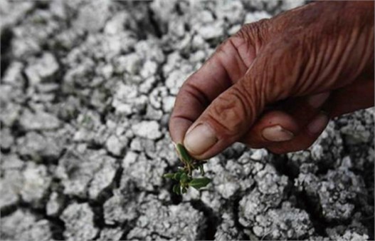 钝化土壤重金属 钝化土壤重金属