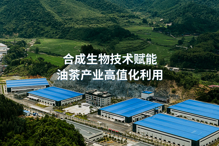 /mobile/about.html